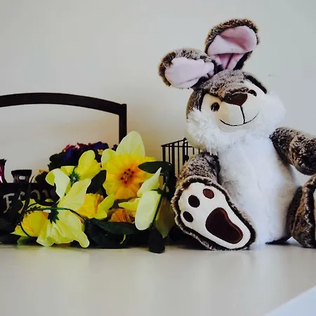 Vakantiestudio Melroce