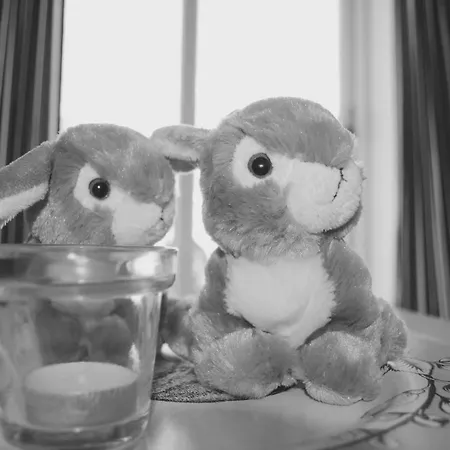 Vakantiestudio Melroce Bredene