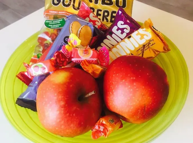 Vakantiestudio Melroce